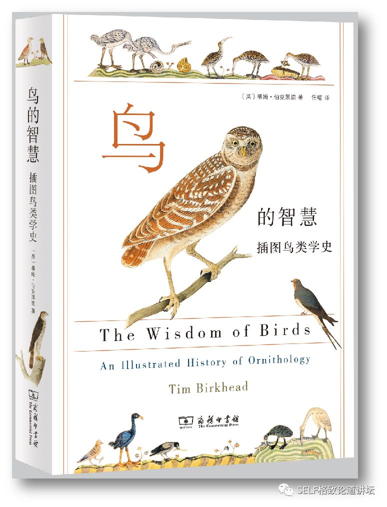 科学家如何观察植物,鸟类的研究方法