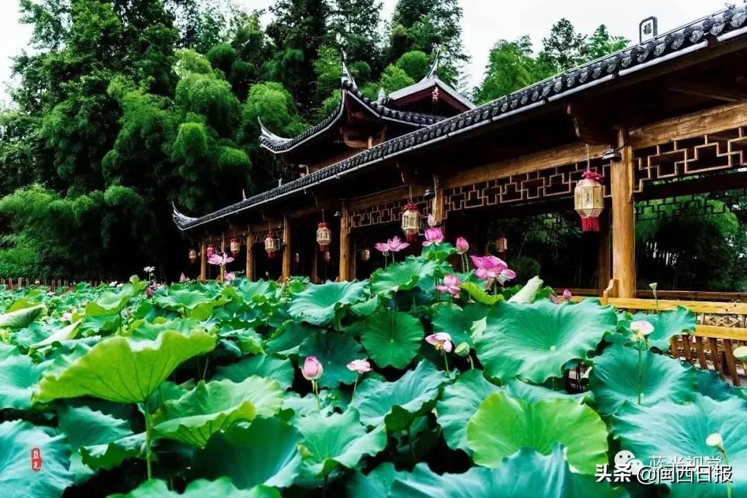 赞！古田、土楼、冠豸山…龙岩这些景点向全国医务工笔者免费开放