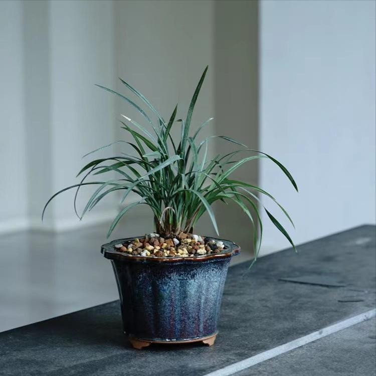 外贸采购员薪资待遇,外贸都有哪些岗位