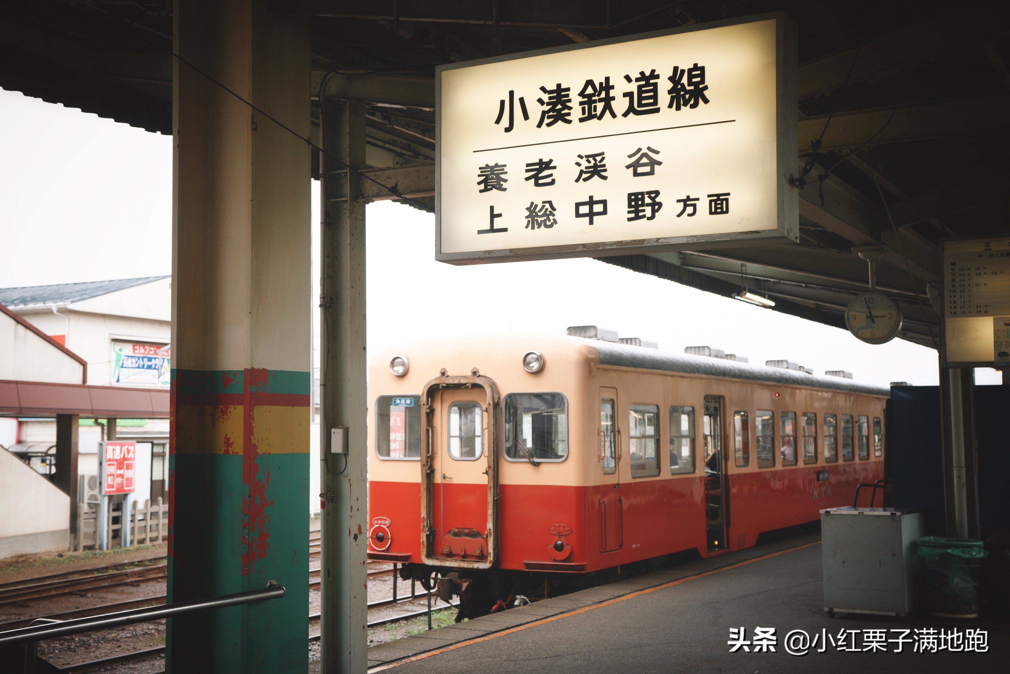 东京附近的无人岛,东京看紫阳花的地方