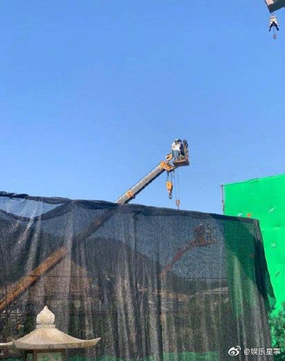 代拍乱象背后,代拍乱象背后内幕