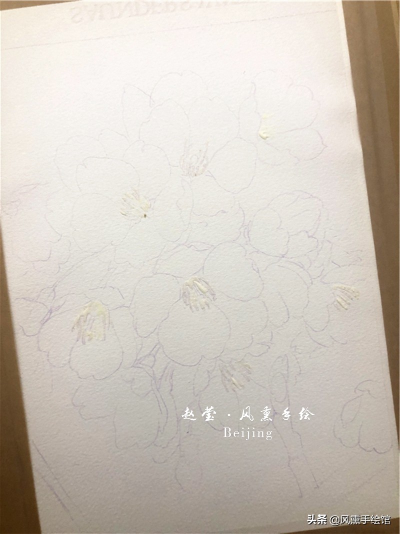 美丽的水彩樱花,水彩樱花图