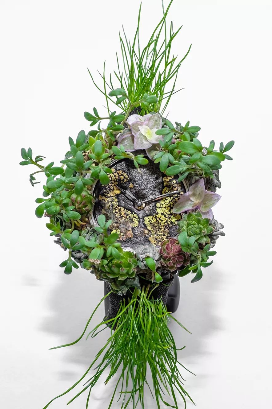 这枚独一无二的腕表，让你真正体会到时间的意义、生态的脆弱