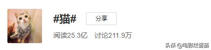 这部温情的撸猫片，让我哭得溃不成军，这是全世界猫*党**的胜利