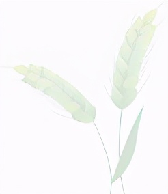 在这个注重颜值的时代,大数据时代我们更难获得真心