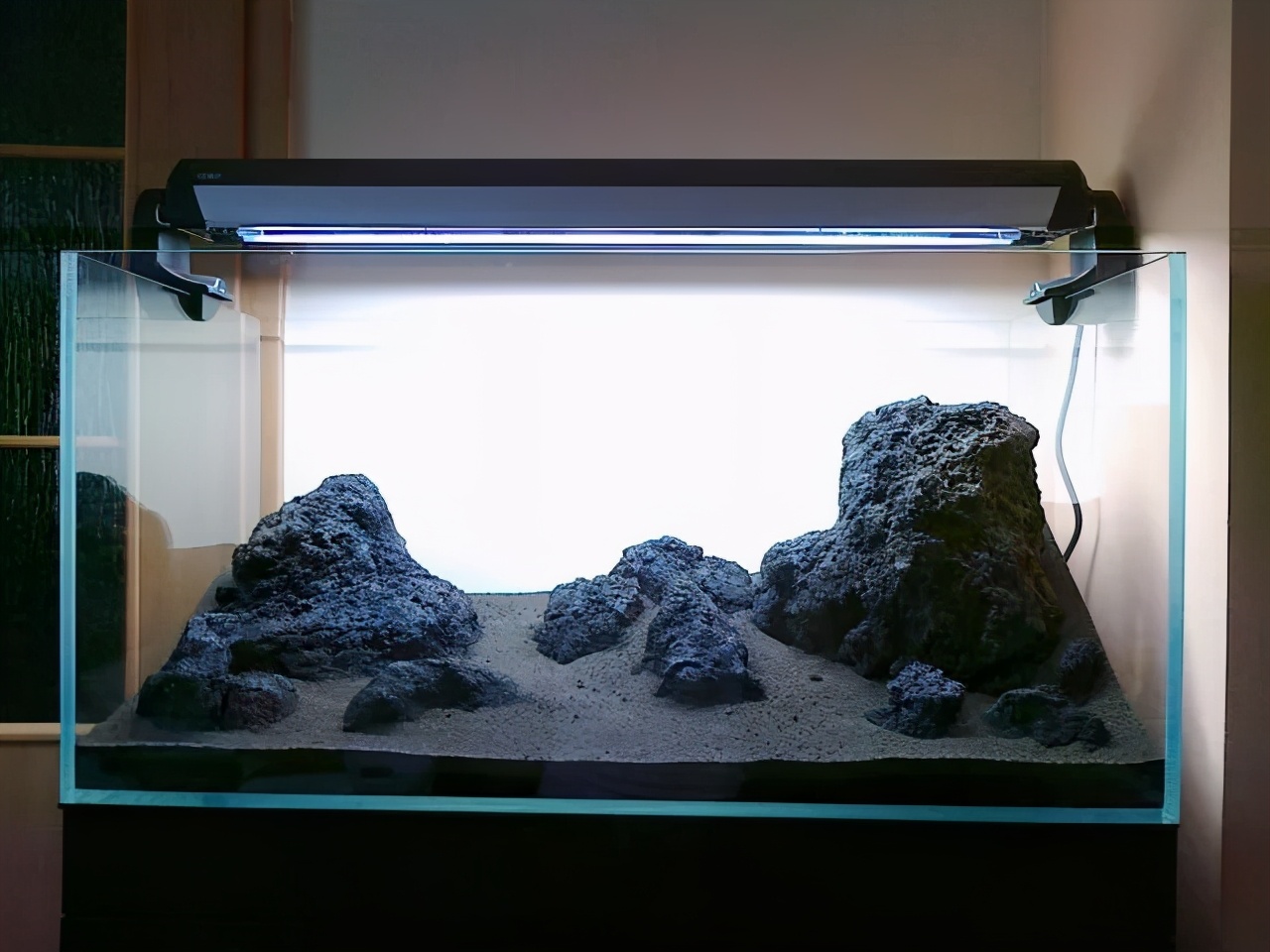 石上的迷你矮+血红宫廷，美的让人心醉