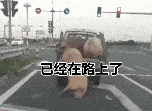 别争了，四川人内定了2021这个第一！