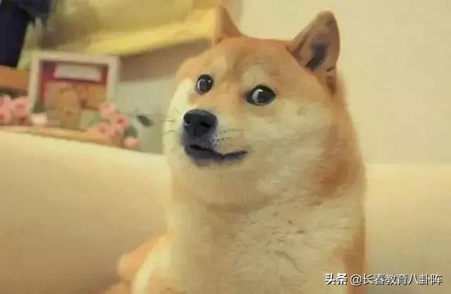 长春市最好小学排名榜,长春市前十名小学