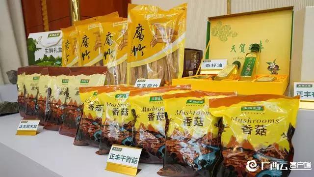 回放｜庆祝中华人民共和国成立70周年贺州市经济社会发展情况新闻发布会