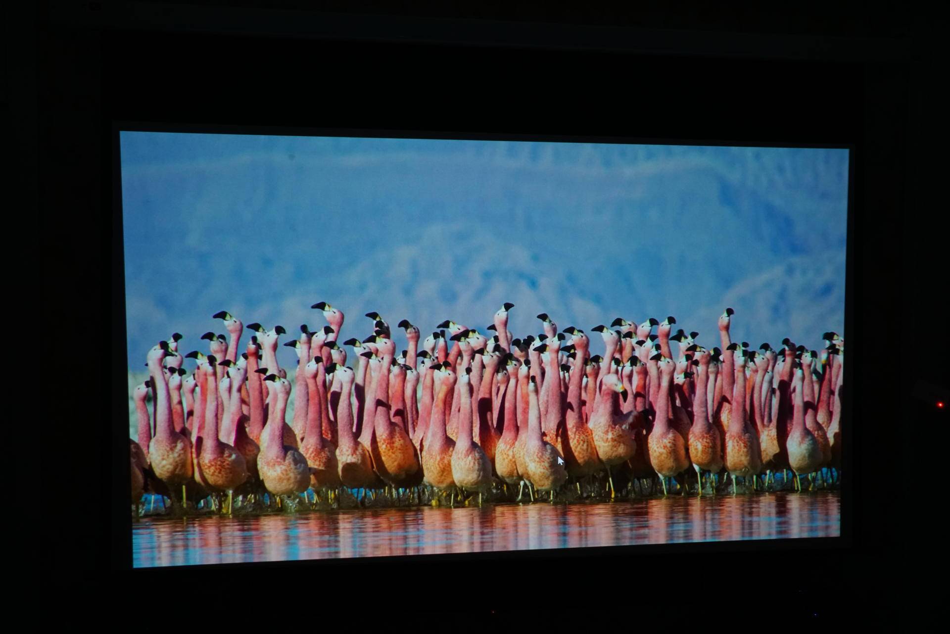 投影机家用两万,两万元的投影