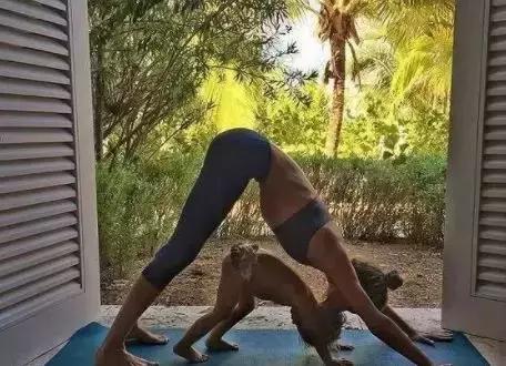 维密身材怎么练出来的,你以为完美的身材都是天生的