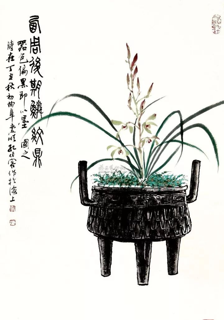 每日一品七律,每日一品茶叶