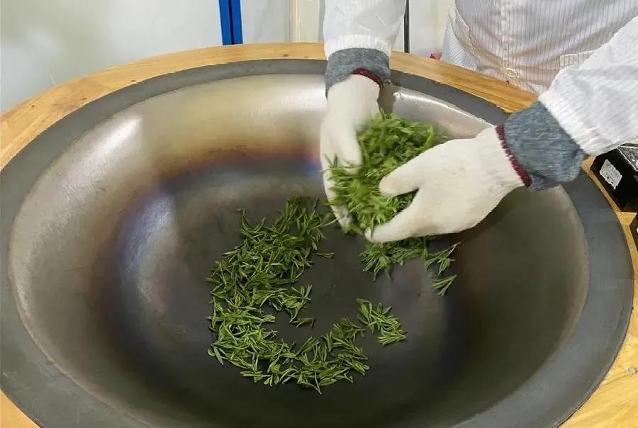 同心奔小康·柞水行|“山茶娃”凝聚浓浓“山海情”