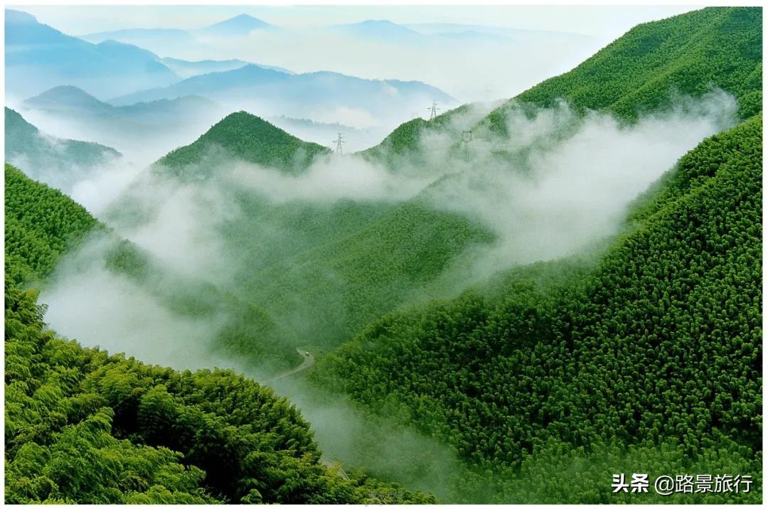 浙江安吉旅游攻略自由行攻略,江浙沪周边一日游自驾游推荐安吉