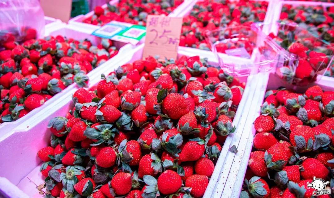 广州沙园菜市场价格,广州沙园菜市场水果