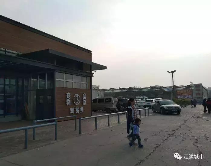 走读城市之廊坊安次（八）：九天休闲谷