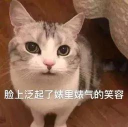 最不务正业的车企,史上最不务正业的企业