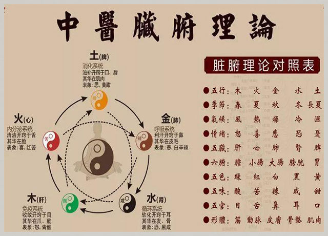 气虚导致疲惫,气虚是导致身体疲劳的原因吗