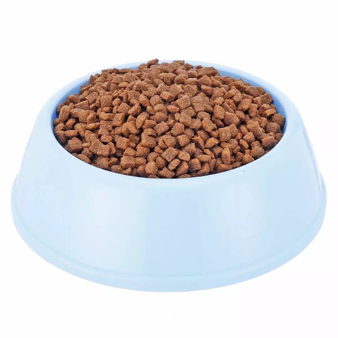 宠物饲料宠物食品,宠物食品需要了解什么