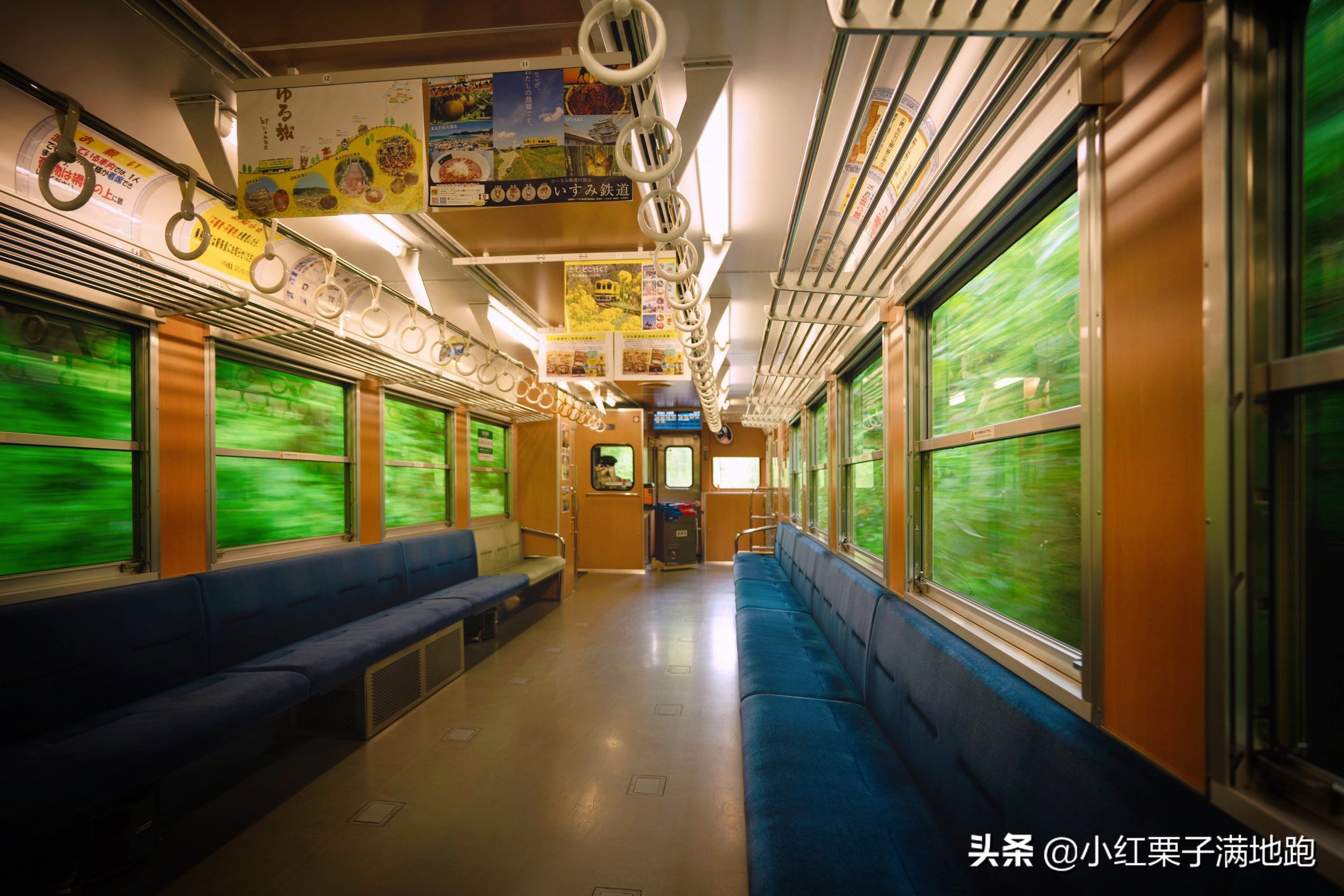 东京附近的无人岛,东京看紫阳花的地方