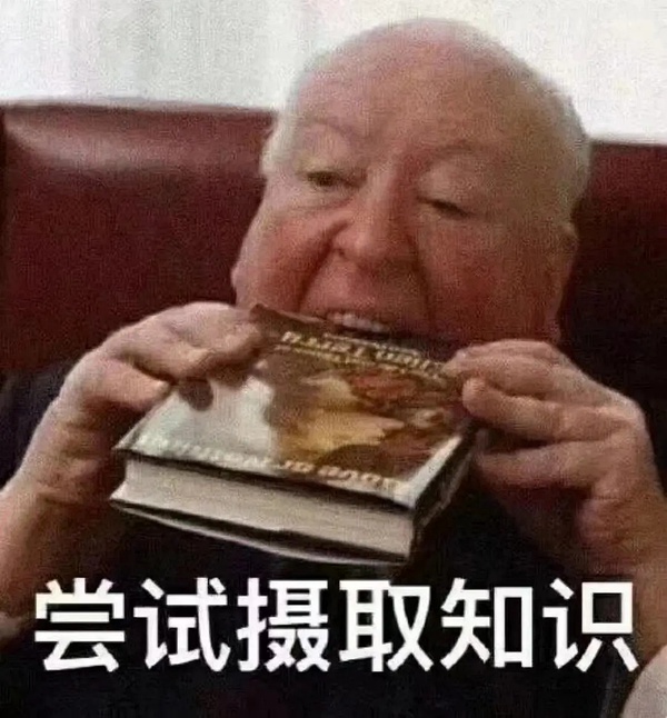期末周｜学习*党**-换上最符合读书人心态的头像，萌宠辣妹表情包