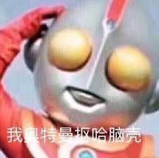 杏儿出轨被老公发现,日本杏离婚