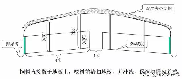 养猪猪舍设计建造,养猪最好的猪舍建造方法
