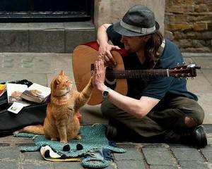 养猫反而焦虑了,养猫养狗的人洞察人性