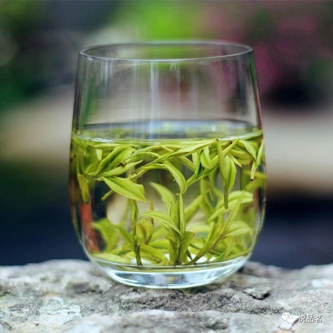安吉白茶茶叶的味道怎么样,安吉白茶是什么样的口感