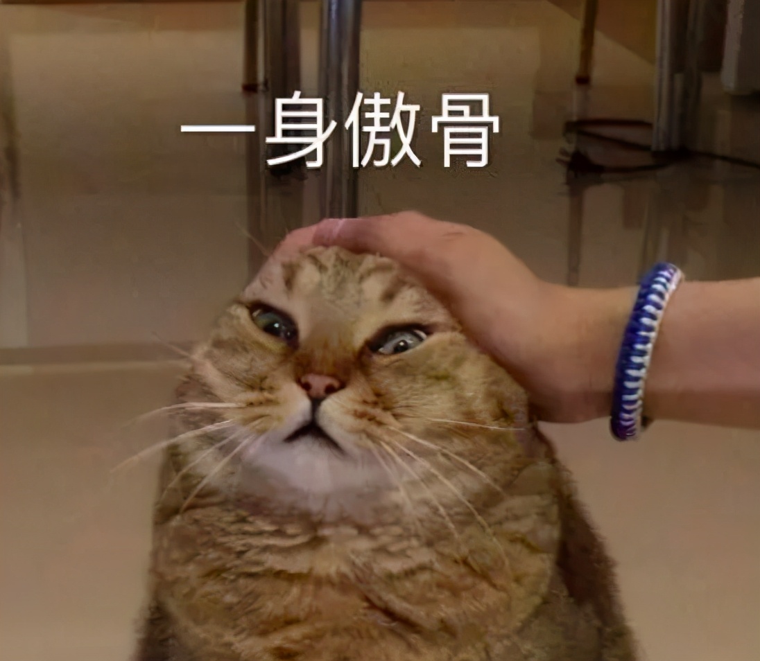 赚了钱把别人骂了,赚了点钱就目中无人