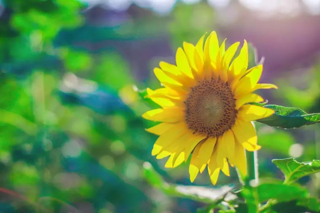 清远英德九州驿站图片,清远天门沟九州驿站