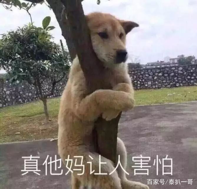 一哥专扒：RAY面膜被一哥扒的，可能连“*裤底**”都不剩！