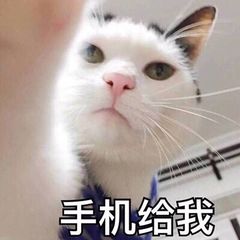 免费电子相册制作电脑app,免费制作电子相册软件推荐