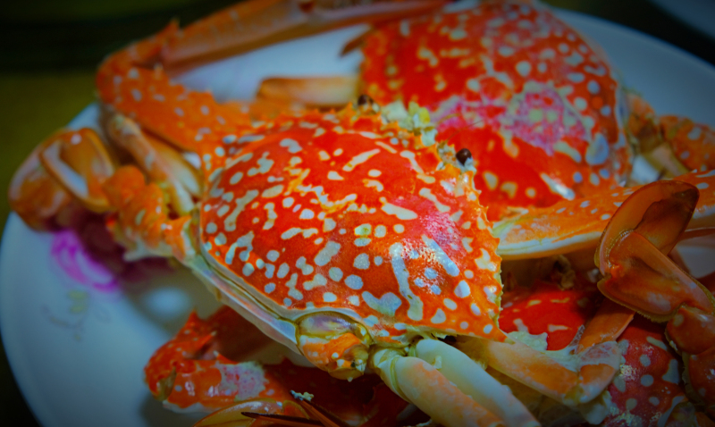 广东湛江景点及美食攻略,广东游记湛江市最美味的海鲜