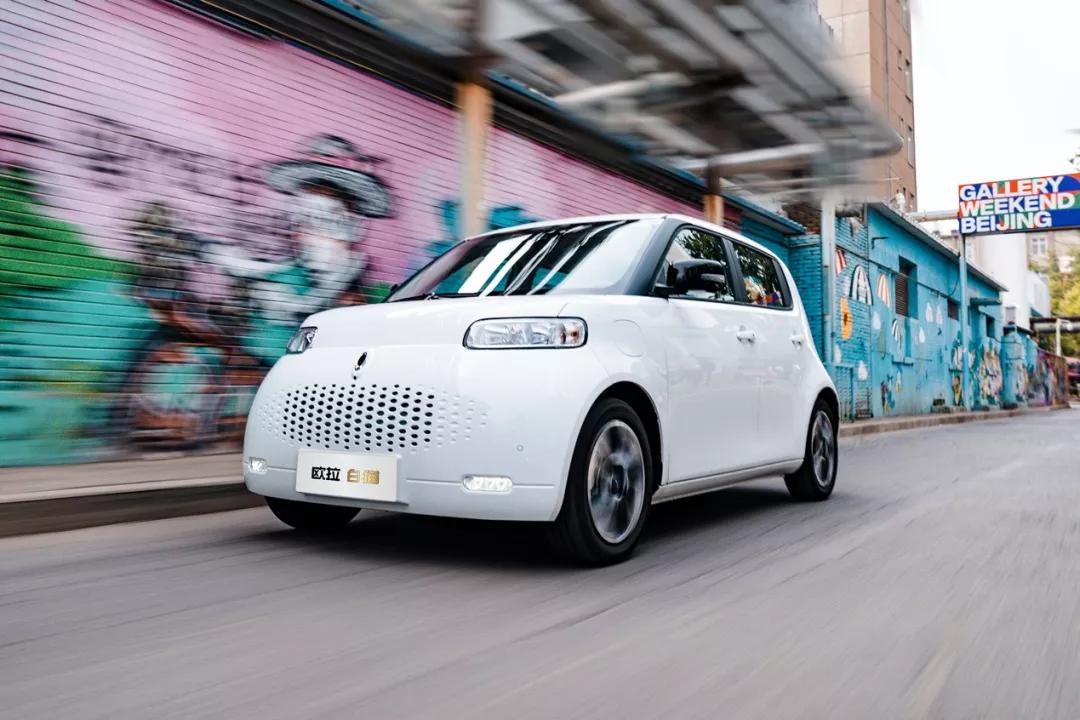 「知讯」当年的经典“酷熊”回归变身“白猫”更具时尚感