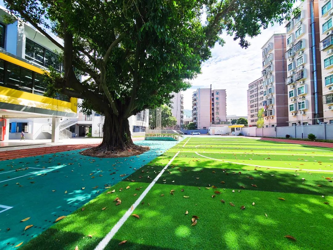 珠光路小学刚建时的照片,珠光小学现在变成什么样了