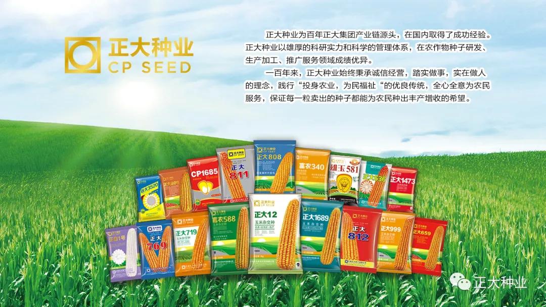 经久不衰原版视频,经久不衰王者