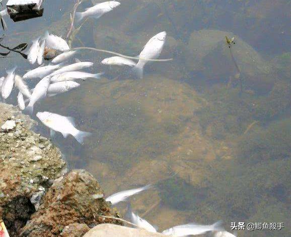 禁渔令禁用渔具,禁渔令渔具使用规定