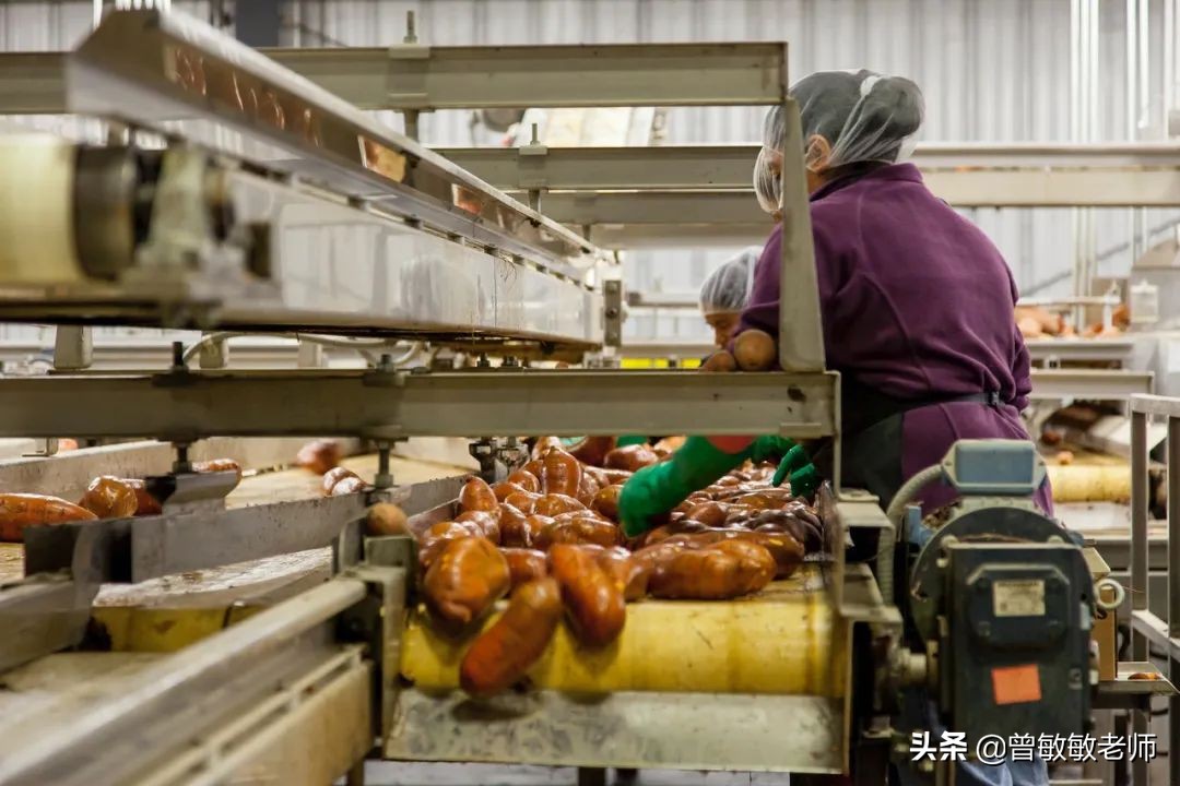 “鸭王”——疫情下的传奇致富故事