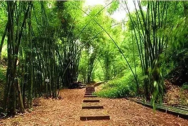 成都周边一日游适合10岁小朋友,成都周边一日游景点推荐2021
