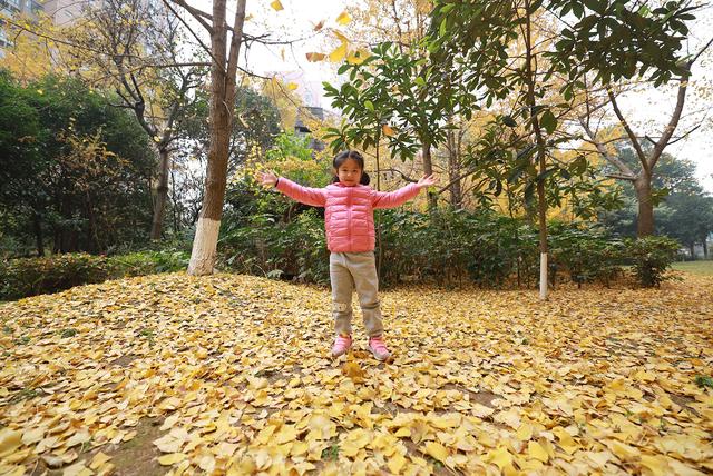 佳能无反相机全画幅,佳能rf14-35与15-35横向对比测评