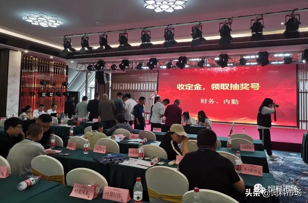 山东活力集团青岛,活力集团新品发布会