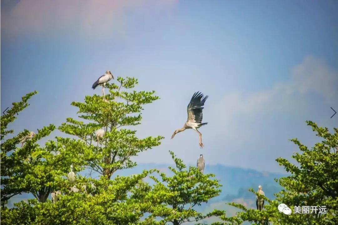 2019年，时光写就这样的开远
