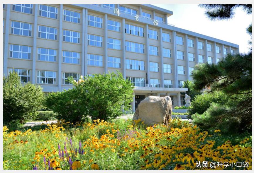 吉林大学哪些专业的深造率较高？这13个专业，深造率超过50%