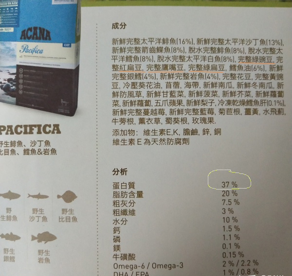 渴望猫粮突然特别腥,渴望猫粮特别硬