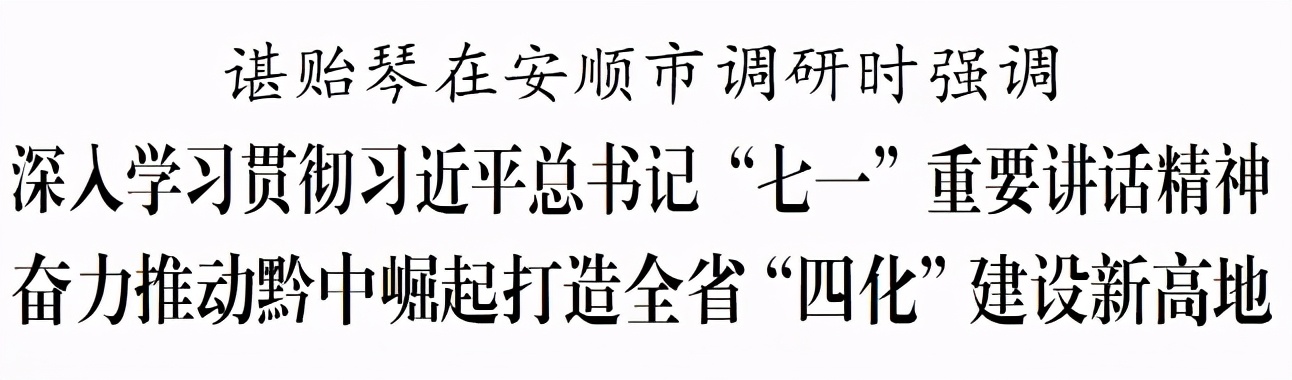 谌贻琴在安顺市调研