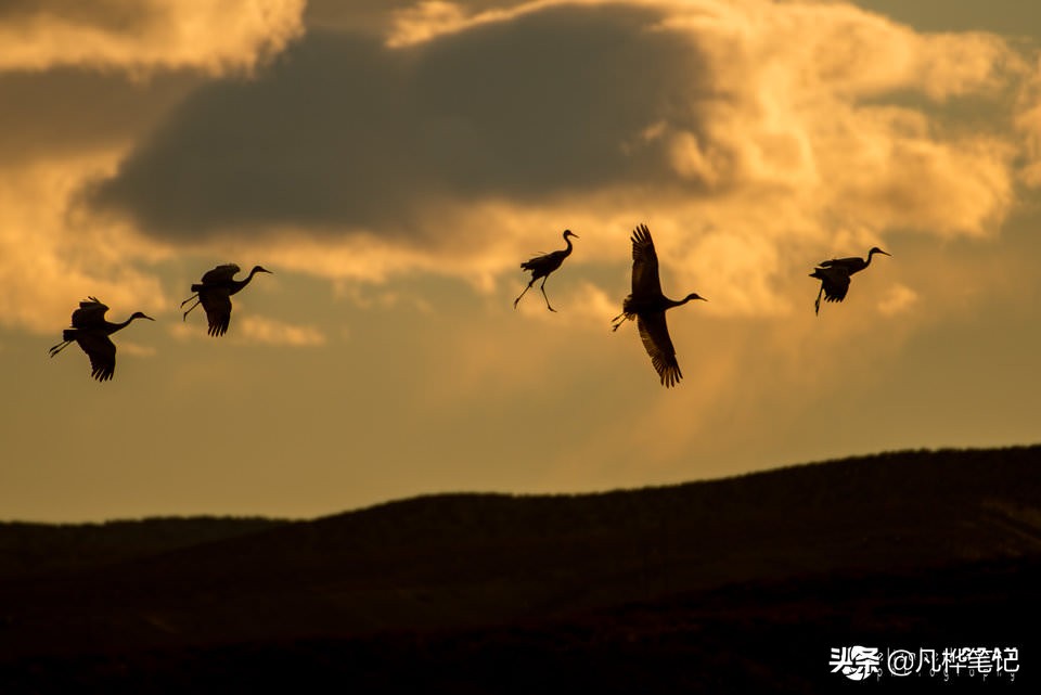 选择曝光快捷键,选择曝光