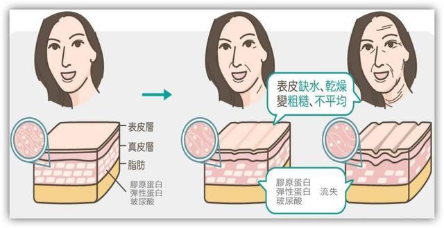 眼霜怎么涂才不白,眼霜不浪费操作步骤