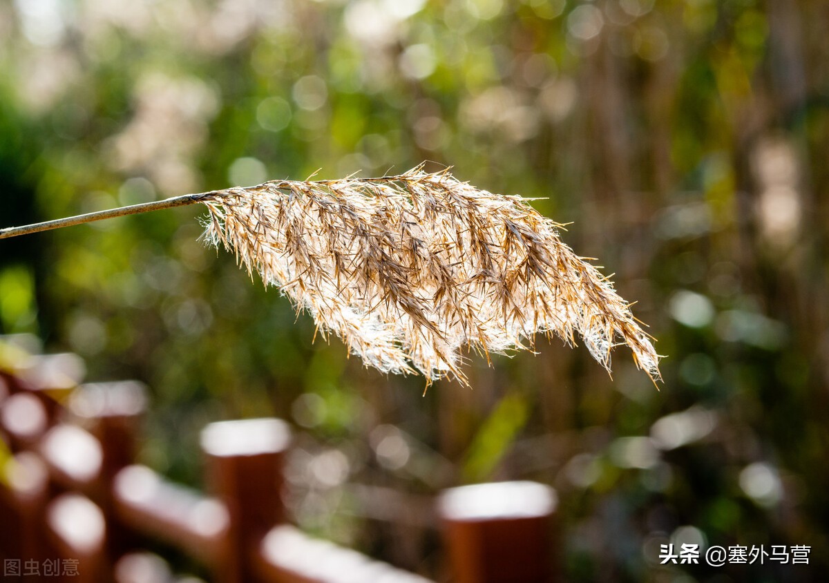 一场突如其来的疫情感想,一场突如其来的大病让我彻底觉悟