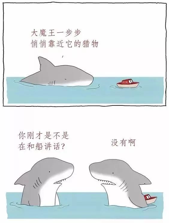 大白鲨vs虎鲨谁才是海洋霸主,大白鲨真的是海中霸主吗动画